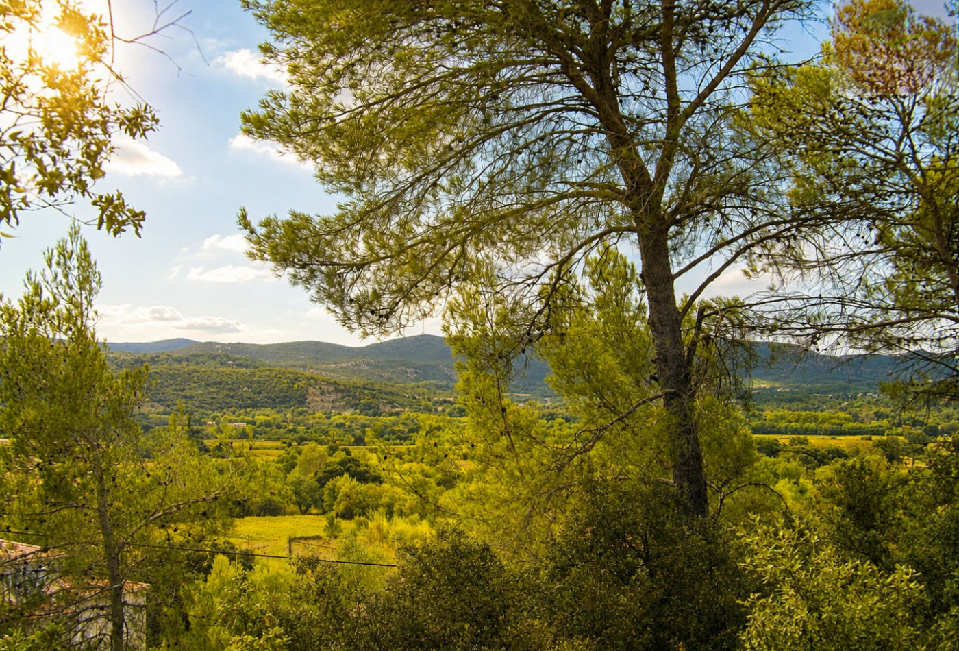 vente Maison Massillargues Attuech - Photo 3