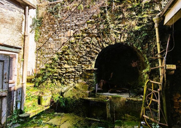 à vendre Maison bourgeoise Saint Andre De Valborgne