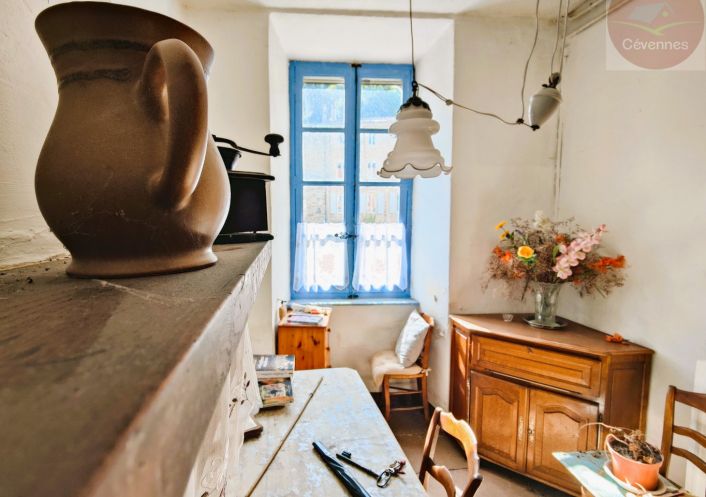 à vendre Maison bourgeoise Saint Andre De Valborgne