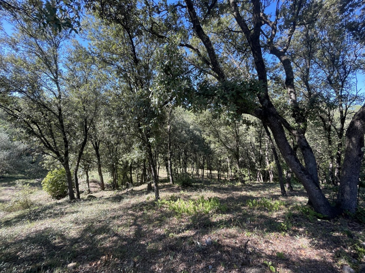 à vendre Maison de campagne Tornac - Photo 7