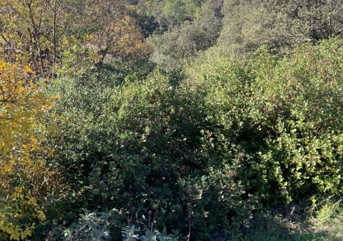 à vendre Maison Tornac