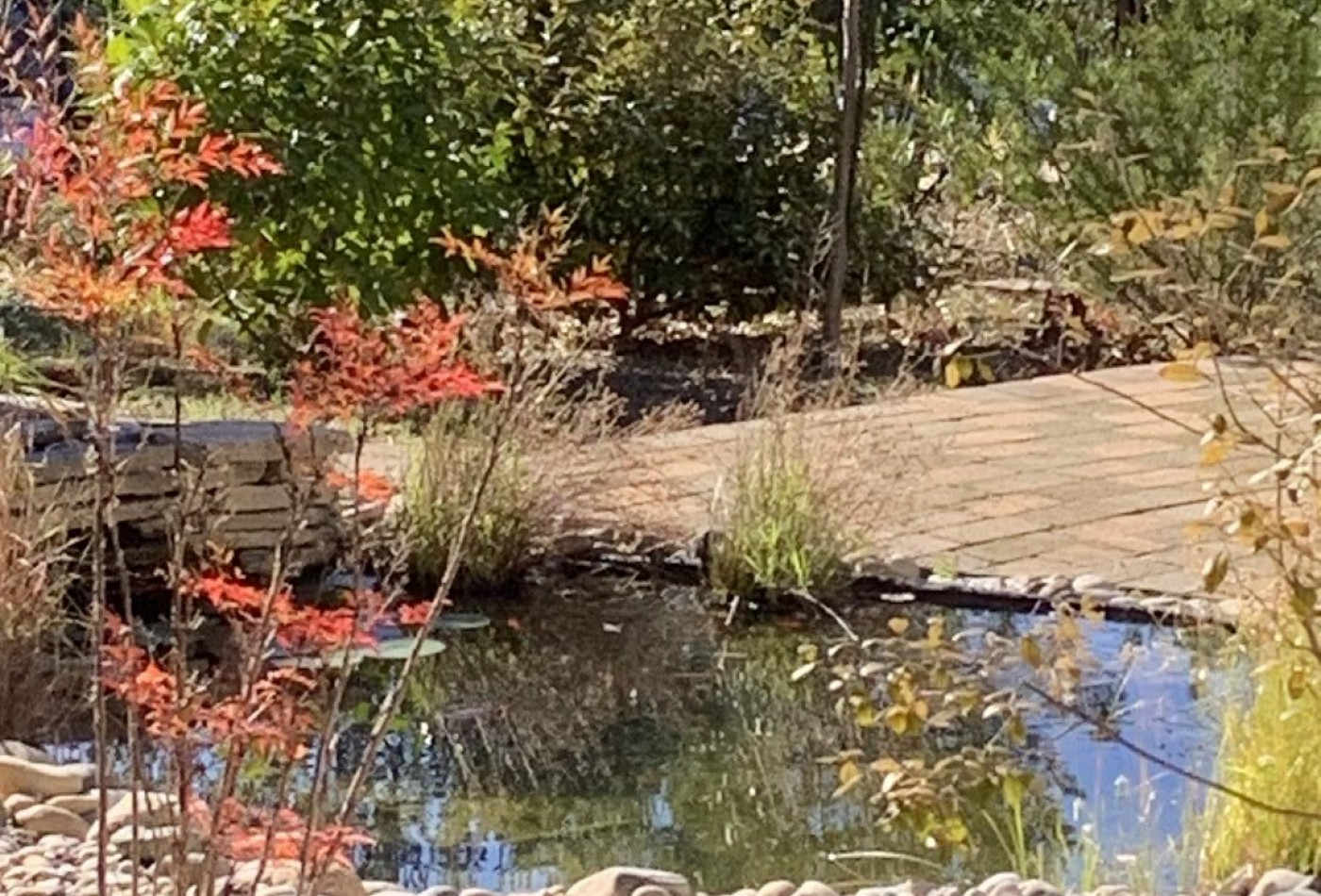 vente Maison Tornac - Photo 2