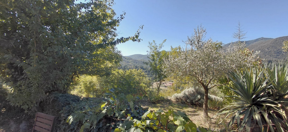 vente Maison Le Vigan - Photo 7