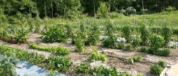 vente Maison Saint Andre De Majencoules