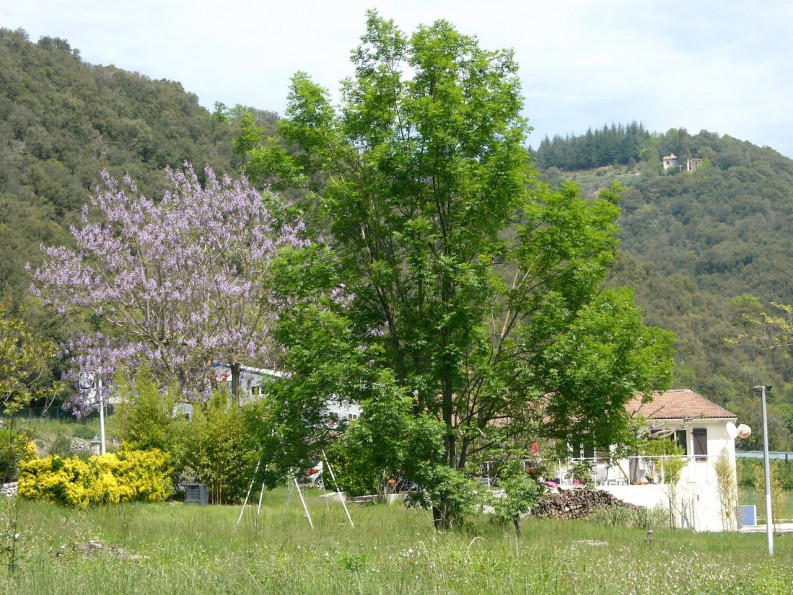 vente Maison Saint Andre De Majencoules - Photo 2
