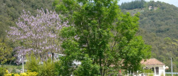vente Maison Saint Andre De Majencoules