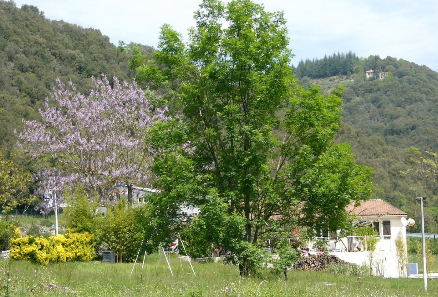vente Maison Saint Andre De Majencoules - Photo 5