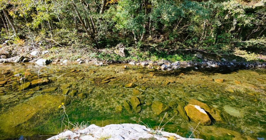 vente Maison individuelle La Salle Prunet