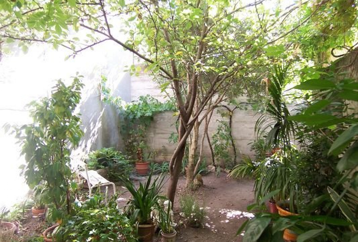 vente Maison Lezan - Photo 2