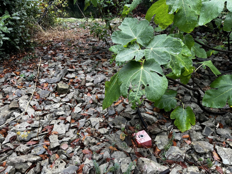 vente Terrain constructible Monoblet - Photo 3