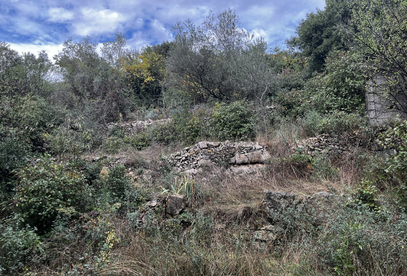 vente Terrain constructible Monoblet - Photo 8