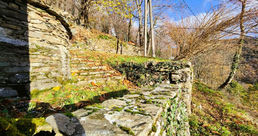 vente Maison de hameau Bassurels