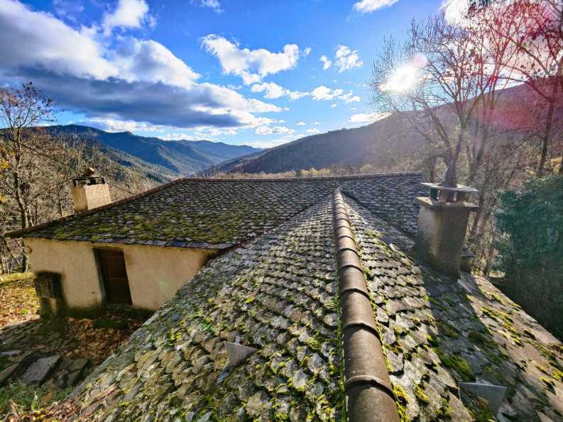 vente Maison de hameau Bassurels - Photo 1