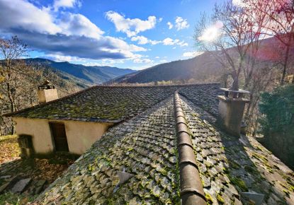 vente Maison de hameau Bassurels