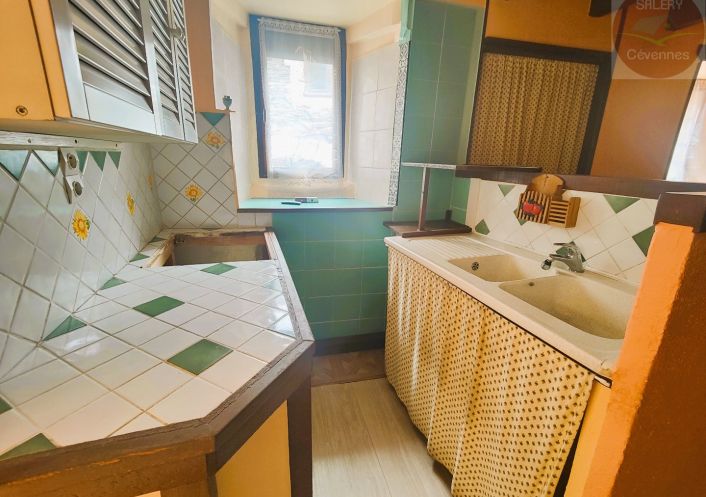 à vendre Maison de village Ispagnac