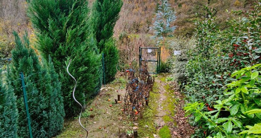 vente Maison de village Ispagnac