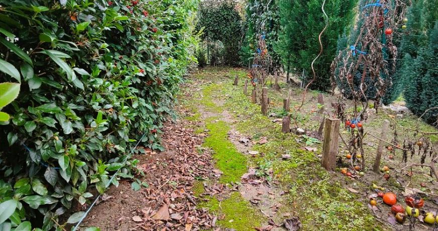 vente Maison de village Ispagnac