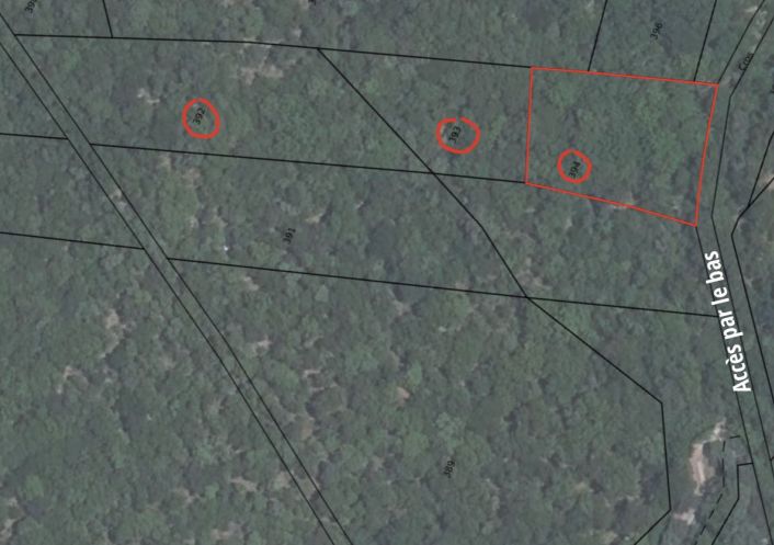 à vendre Terrain boisé – forêt Cros
