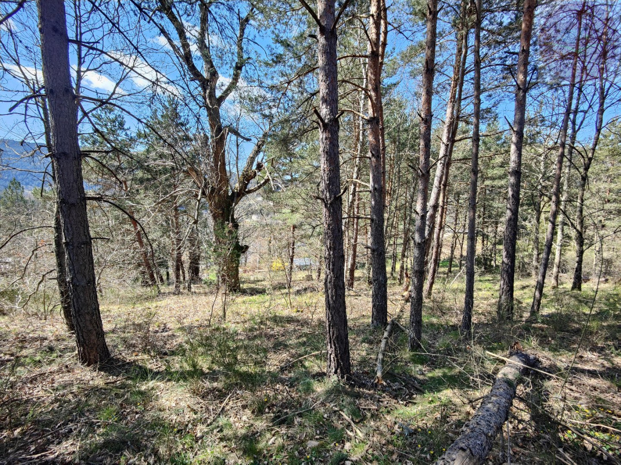 à vendre Terrain constructible Meyrueis - Photo 8