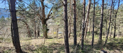 vente Terrain constructible Meyrueis