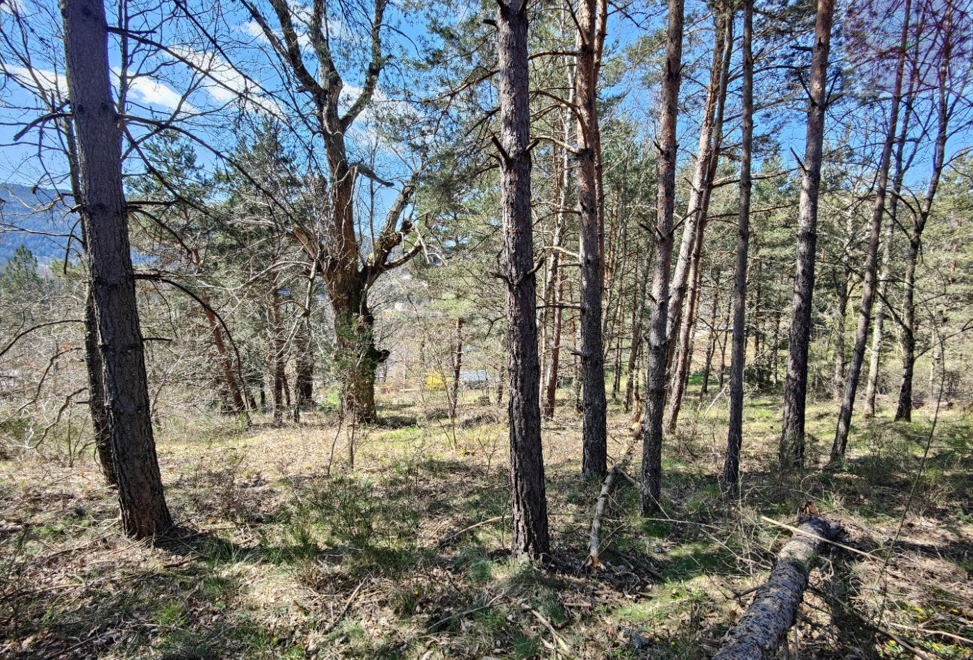vente Terrain constructible Meyrueis - Photo 8