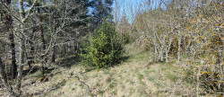 vente Terrain constructible Meyrueis