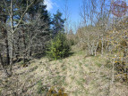 à vendre Terrain constructible Meyrueis