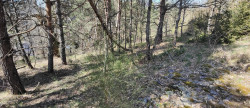 vente Terrain constructible Meyrueis
