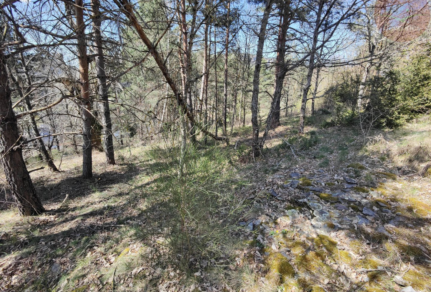 vente Terrain constructible Meyrueis - Photo 5