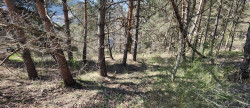 vente Terrain constructible Meyrueis