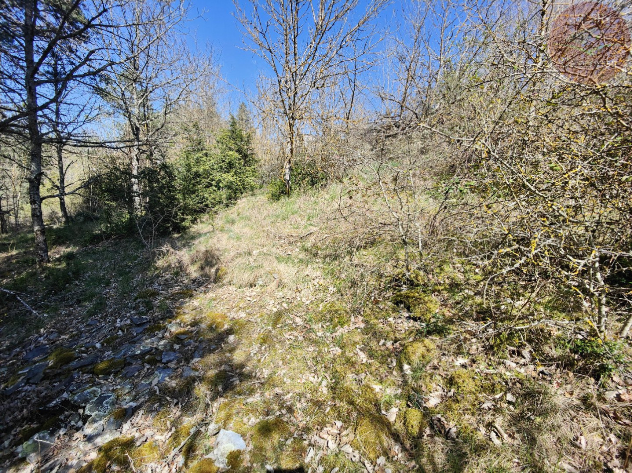 à vendre Terrain constructible Meyrueis - Photo 7