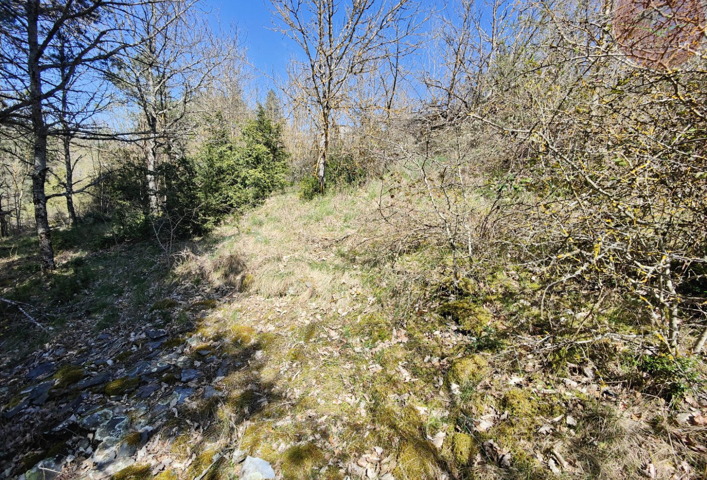 vente Terrain constructible Meyrueis - Photo 7