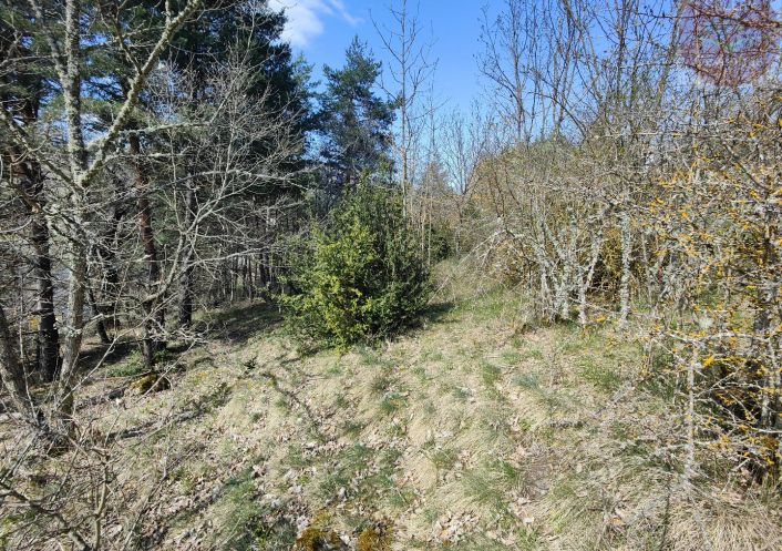 à vendre Terrain constructible Meyrueis