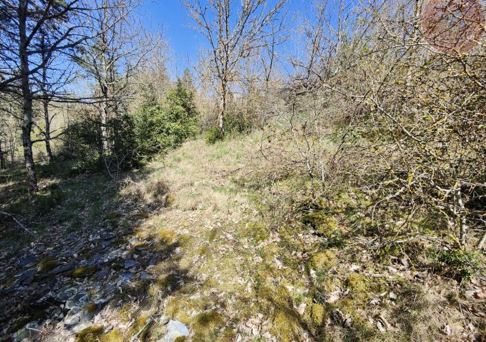 à vendre Terrain constructible Meyrueis