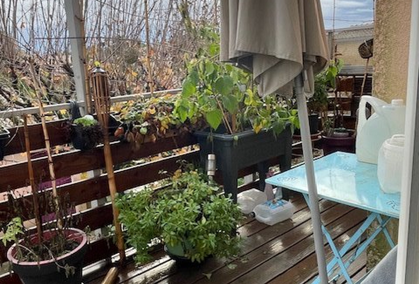 location Maison individuelle Durfort Et Saint Martin De So - Photo 9