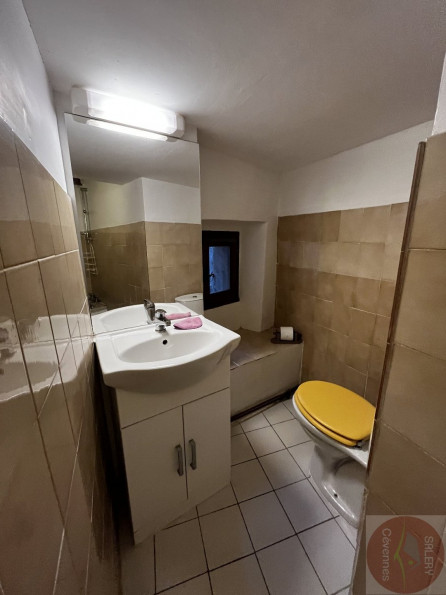 vente Maison de village Lasalle - Photo 10