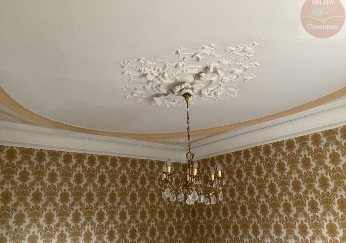 à vendre Maison Saint Theodorit