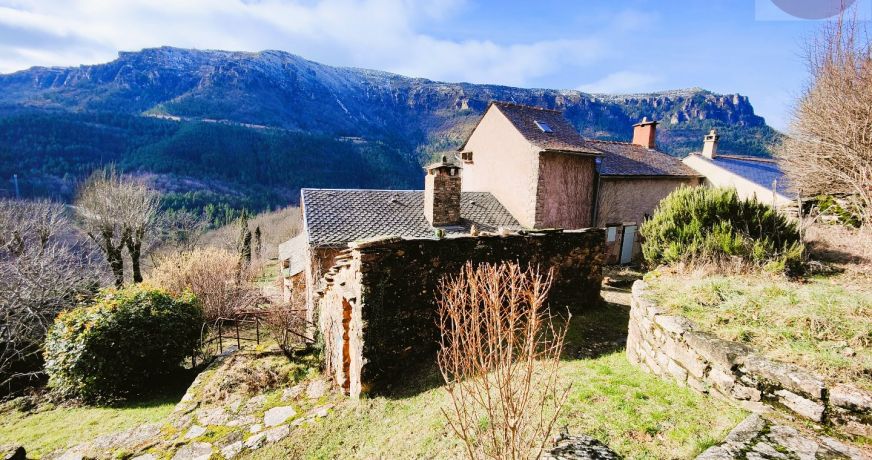vente Maison de hameau Florac