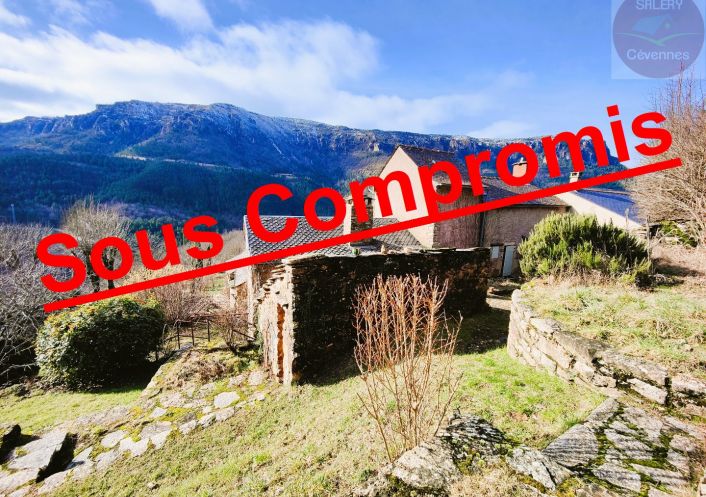 à vendre Maison de hameau Florac