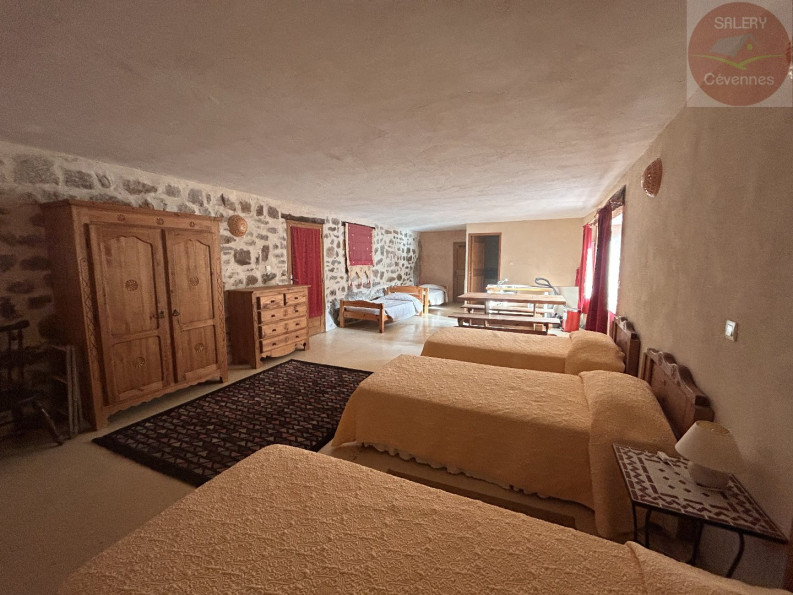 vente Ensemble immobilier Anduze - Photo 9