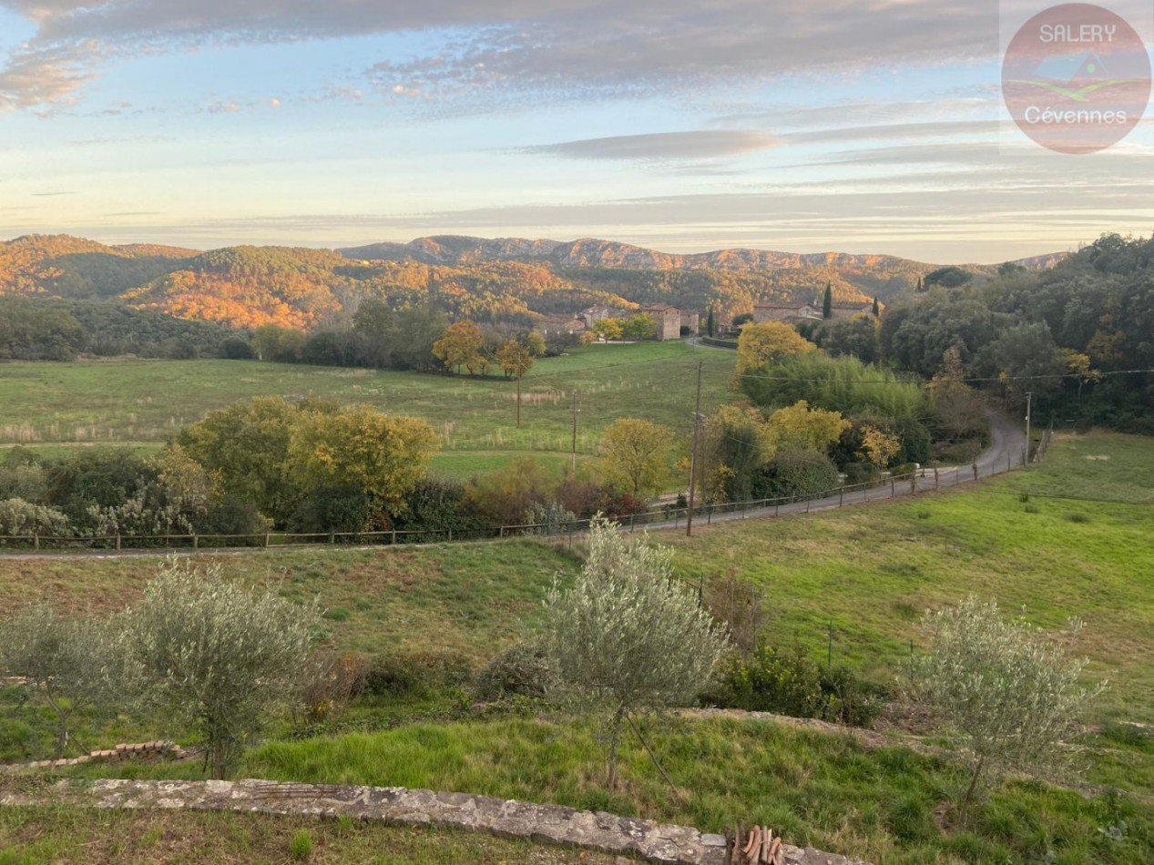 à vendre Ensemble immobilier Anduze - Photo 2