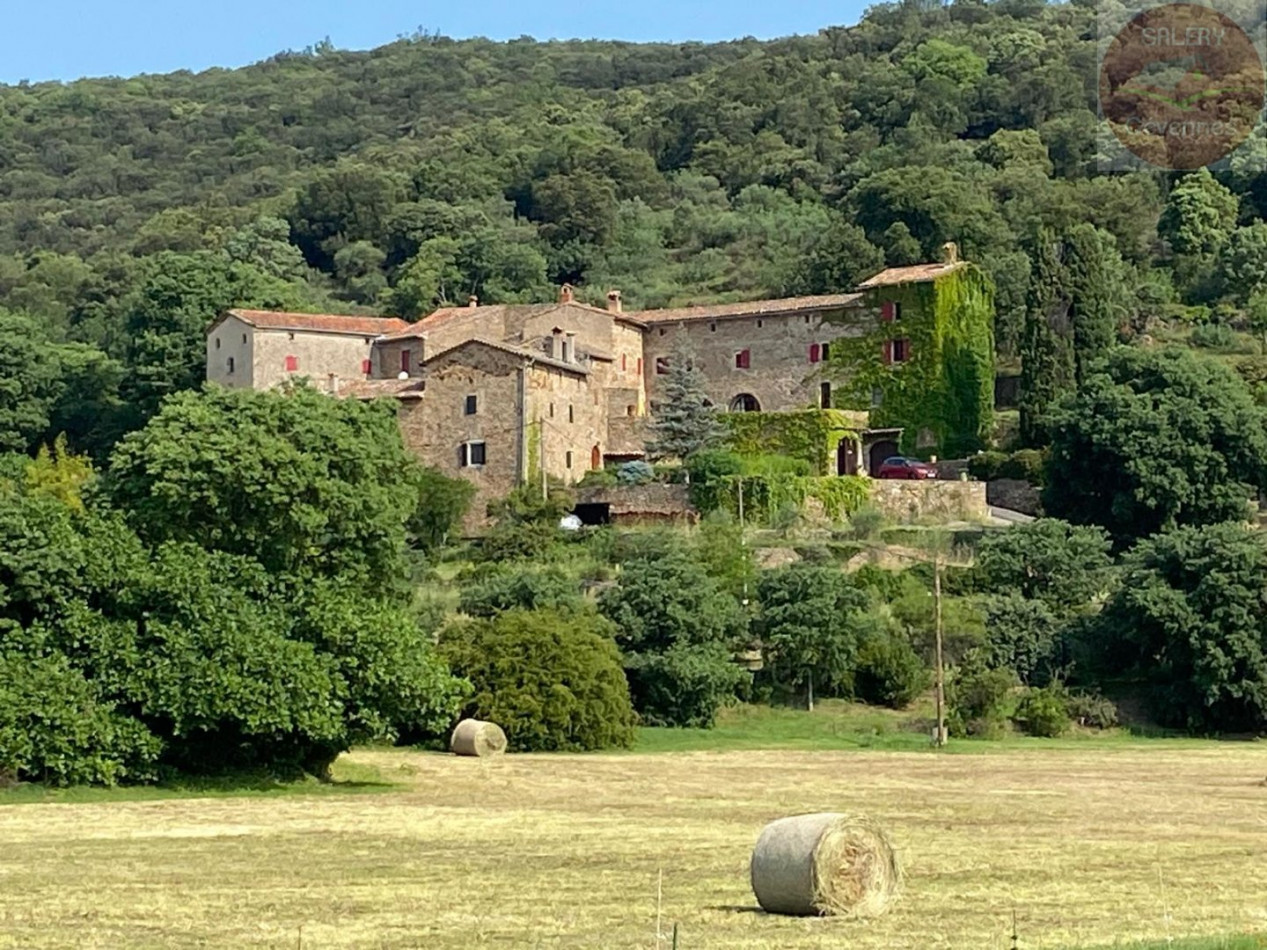 à vendre Ensemble immobilier Anduze - Photo 1