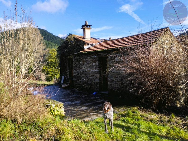 vente Mas Sainte Croix Vallee Francaise - Photo 8