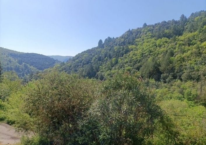 à vendre Maison Arphy