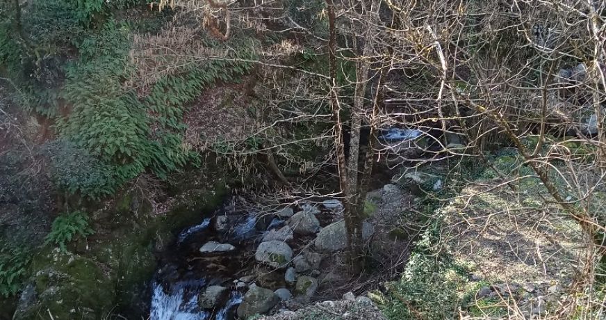 vente Maison en pierre Cros