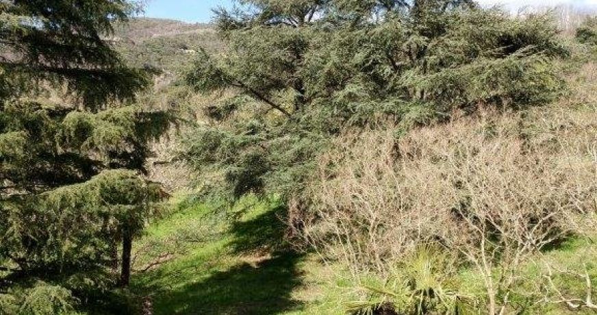 vente Maison en pierre Cros