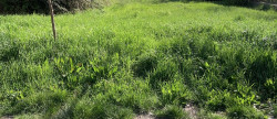 vente Terrain constructible Maruejols Les Gardon