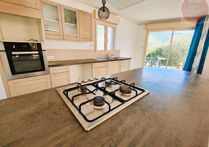 à vendre Villa Florac