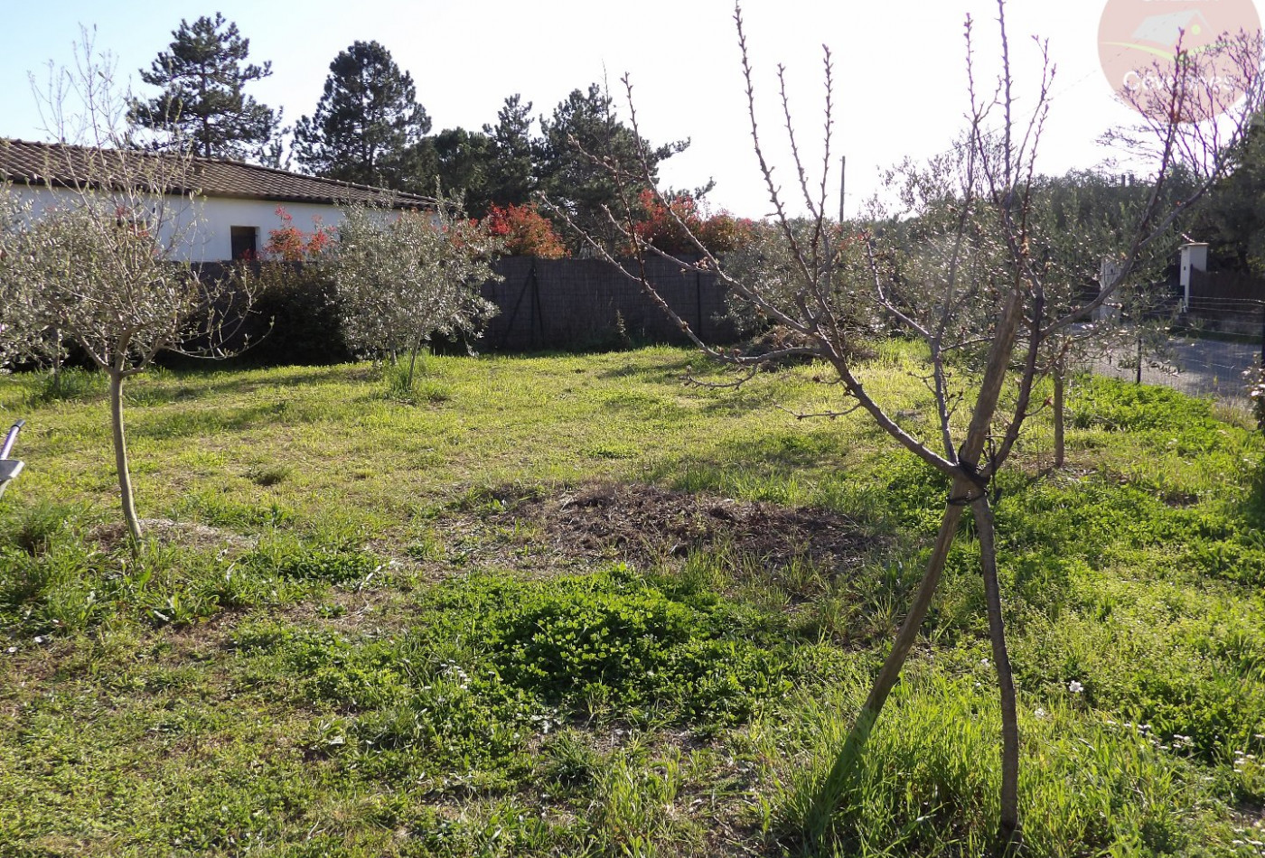 vente Maison Cardet - Photo 8