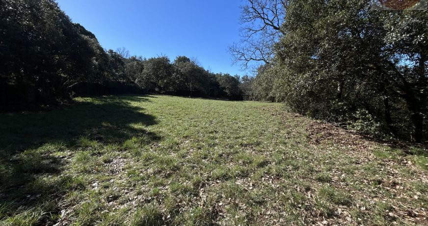 vente Ensemble immobilier Thoiras